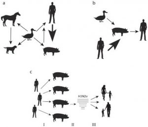 Image of Zoonotic transmission