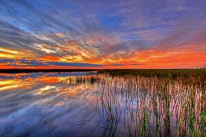 Everglades sunset