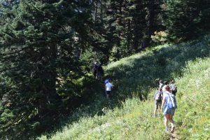 An open meadow on the Carpenter Mountain trail.