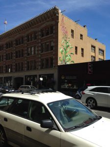 Here's an interesting example of the graffiti found in Portland. It was all very unique and beautiful!