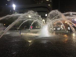 IMG_5326