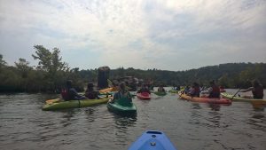 Kayakers flock around an abandoned tugboat, now ravished with vegetation, that once navigated the waters.