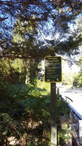 "To improve water quality and help reduce erosion, the buffer of trees, shrubs and groundcover along this stream was planted by: (...)"