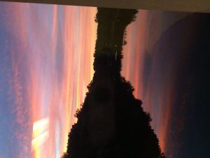 IMG_2012