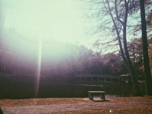 The view from my reflection spot (pt.2)