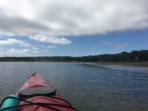 The Willamette River in Portland, Oregon
