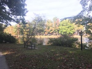 My reflection spot near at a bench near the gazebo.
