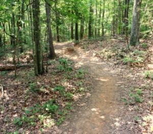 My favorite park: Preddy Creek Park 