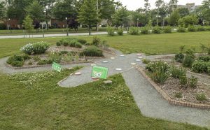 The new look of the butterfly garden at Holton ES