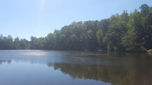 After walking by it every single day, Westhampton Lake is easy to take for granted; however, its beauty helps to define the University.