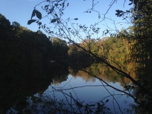 IMG_1410