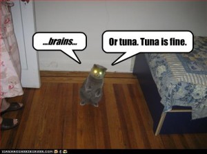 Braaiiins!