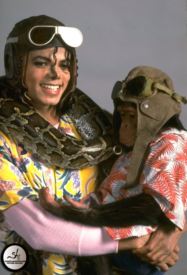 Jackson with pets Bubbles the chimpanzee and Muscles the boa constrictor