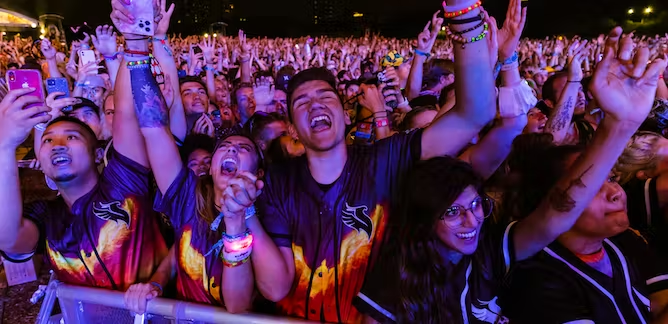 Audience enjoying live music at a concert