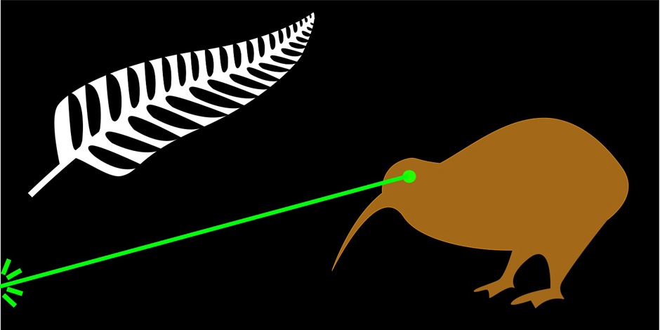 Laser Kiwi Flag!