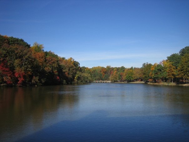 Westhampton Lake - University of Richmond