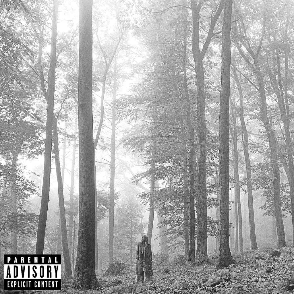 Taylor Swift - folklore (album cover)