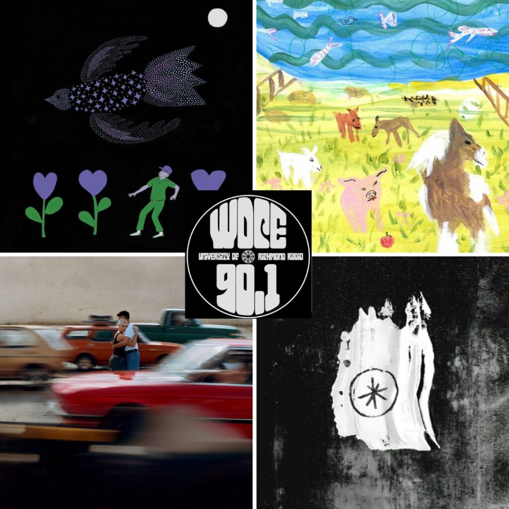 WDCE Collage 2-19-25