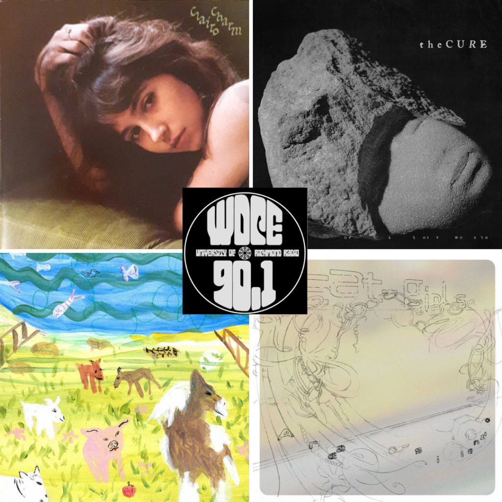 WDCE Collage 2-5-25